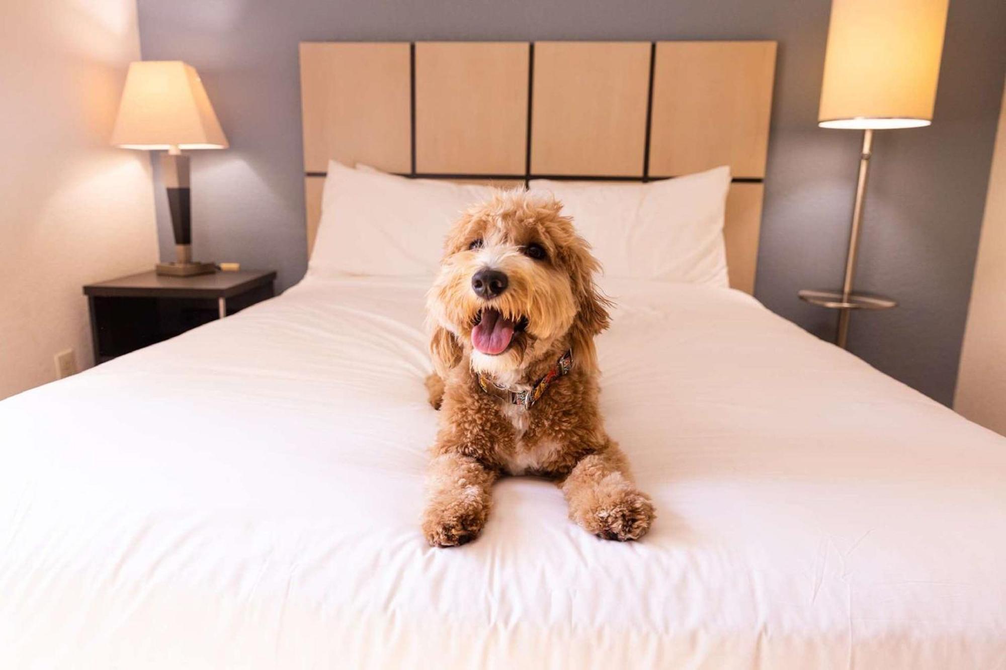 Sonesta Simply Suites Denver West Federal Center Lakewood Zewnętrze zdjęcie
